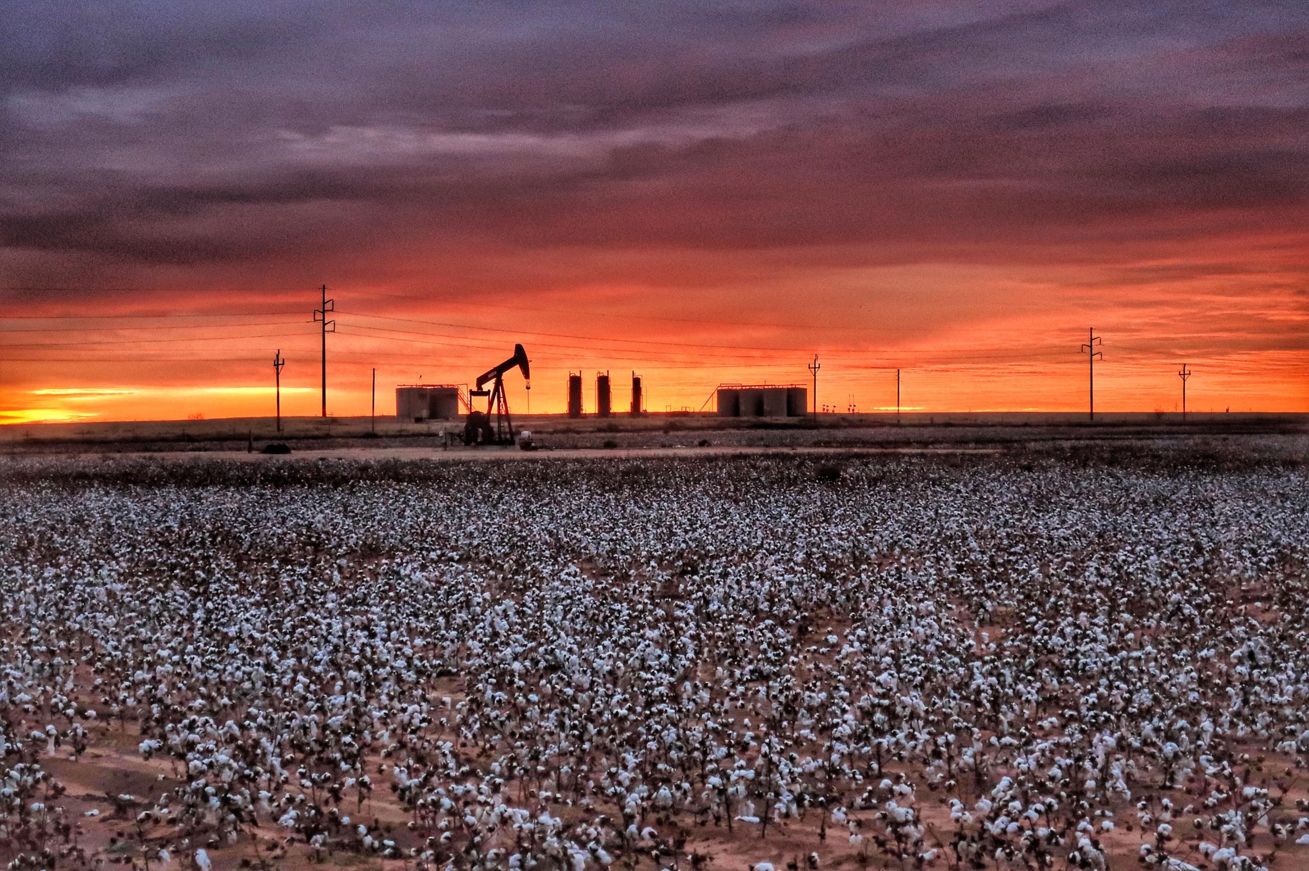 Texas Landscape